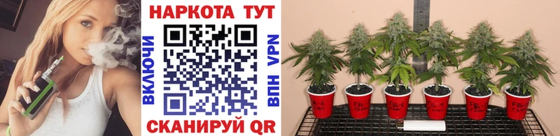 Купить закладку Александровск Alpha-PVP Меф мяу мяу Гашиш АМФ OMG зеркало Марихуана