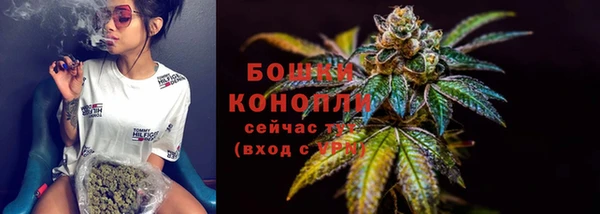 стаф Абаза