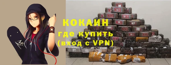 сатива Надым