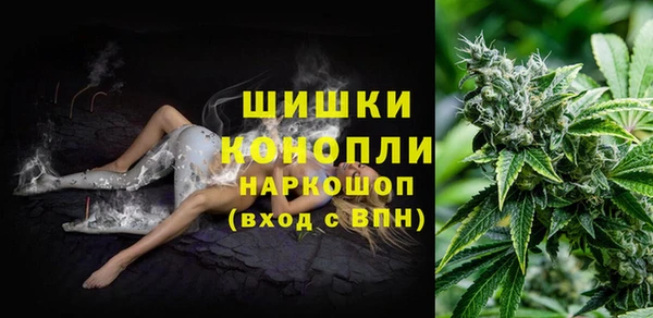 крисы Наволоки