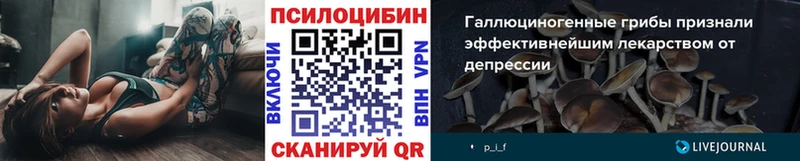 нарко площадка телеграм Александровск Галлюциногенные грибы прущие грибы